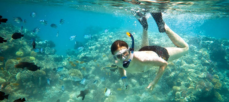 When is best time to go to Phuket ? When is best time to go to Phuket ?